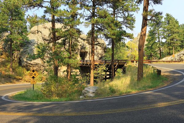 Pigtail bridges Custer State Park