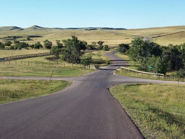 Les vallons herbeux du Custer State Park