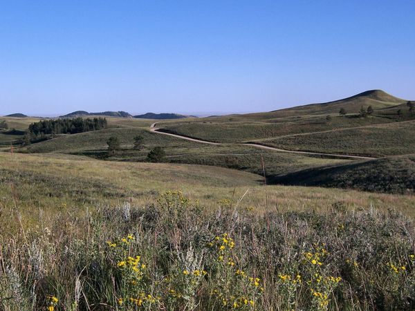 Fisherman Flats Road Custer State Park