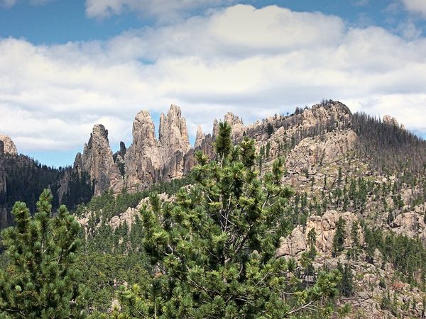 Aiguilles Custer State Park
