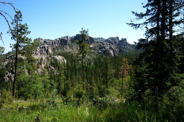 Black Elk Peak Custer State Park