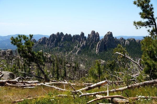 Black Elk Peak Custer State Park