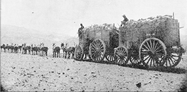 Loaded 20 Mule Team leaving Death Valley