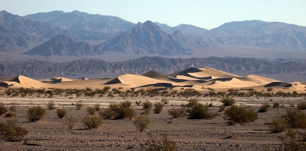 Mesquite Sand Dunes Death Valley