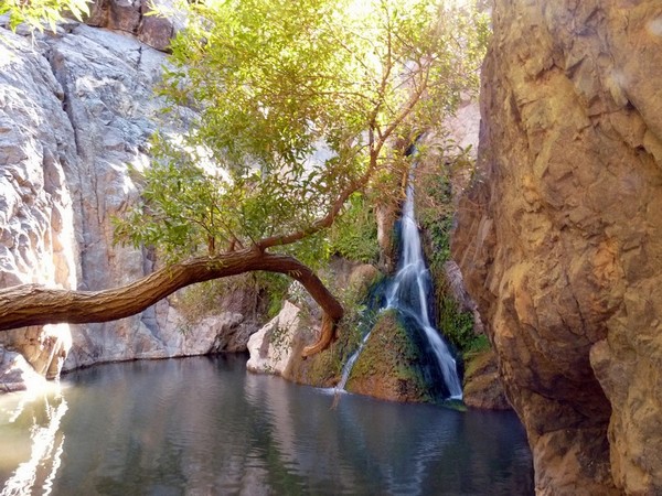 Darwin Falls Death Valley