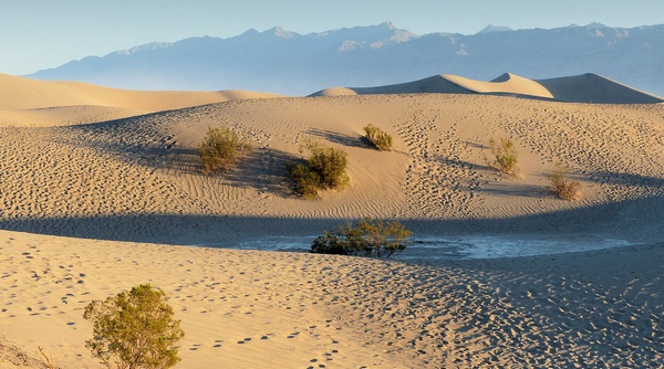 Mesquite Sand Dunes Death Valley National Park Californie