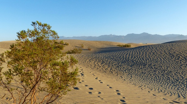 Mesquite Sand Dunes Death Valley National Park Californie