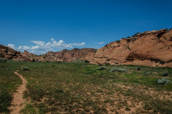 Sentier verdoyant accès Edmaier's Secret Arizona