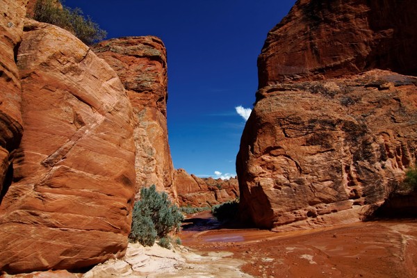 Porte Edmaier's Secret Arizona