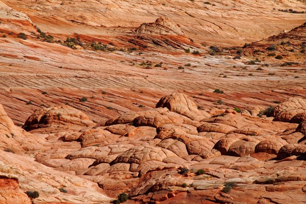 Brainrocks Edmaier's Secret Arizona