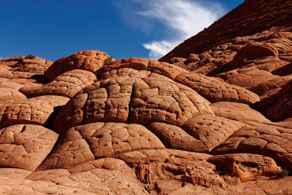 Brainrocks Edmaier's Secret Arizona