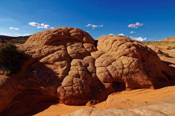 Brainrocks Edmaier's Secret Arizona