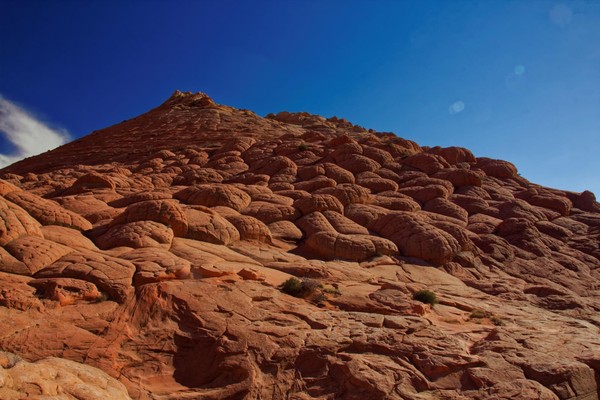 Brainrocks Edmaier's Secret Arizona