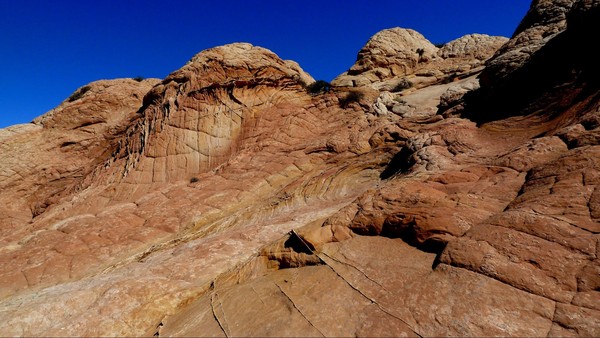 Brainrocks Edmaier's Secret Arizona