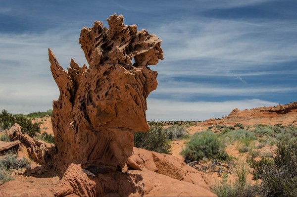 Dentelles Edmaier's Secret Arizona