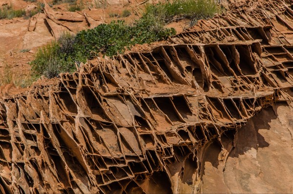 Dentelles Edmaier's Secret Arizona