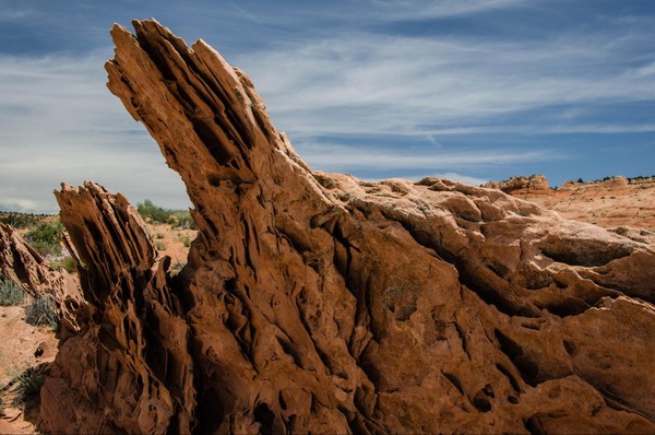 Secteur centre Edmaier's Secret Arizona