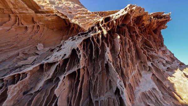 Dentelles Edmaier's Secret Arizona