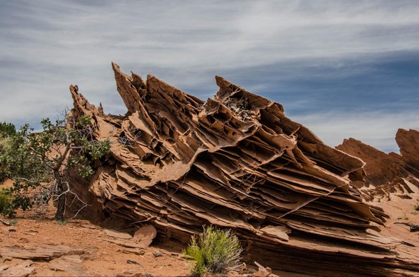 Dentelles Edmaier's Secret Arizona