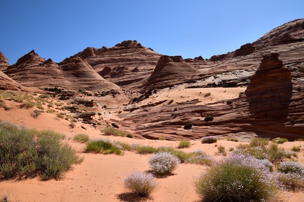 Teepees Edmaier's Secret Arizona