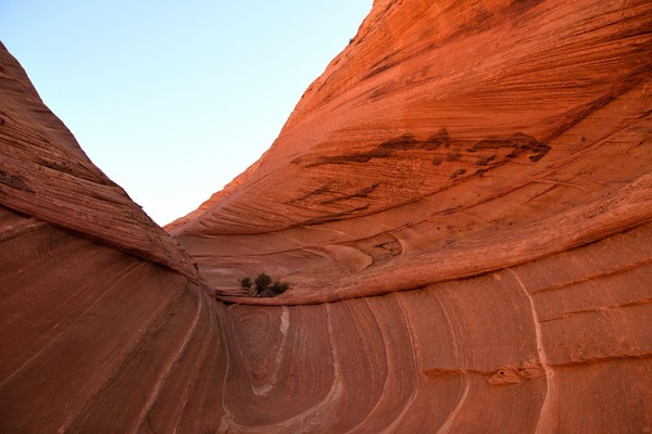 Au creux de la vague Edmaier's Secret Arizona