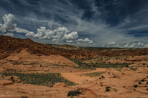 Brainrocks Edmaier's Secret Arizona