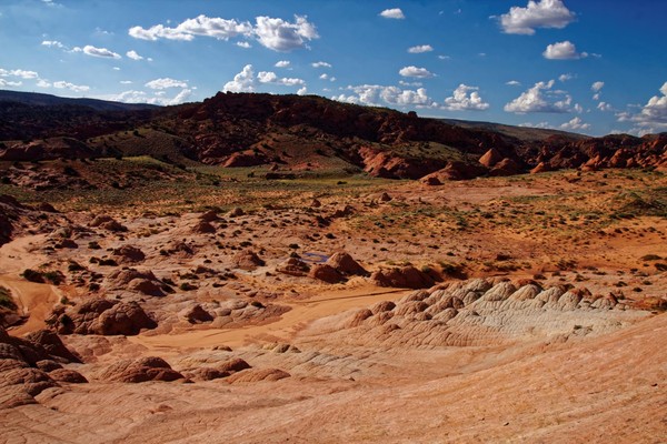 Brainrocks Edmaier's Secret Arizona