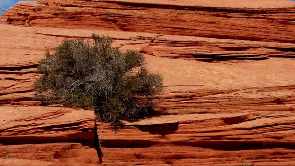 Edmaier's Secret Arizona