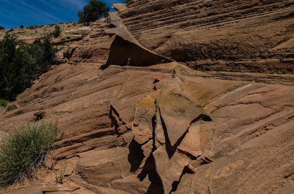 Phénomène de desquamation Edmaier's Secret Arizona