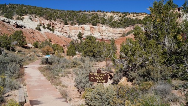 Petrified Forest Trail