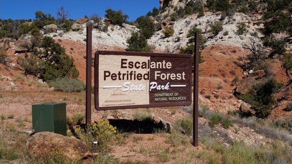 Panneau Escalante Petrified Forest State Park