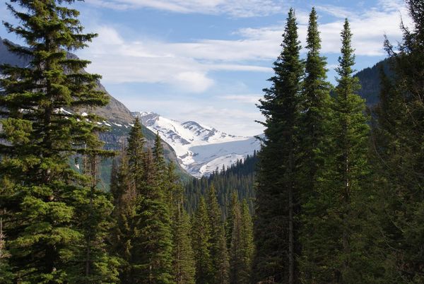 Jackson Glacier Overlook