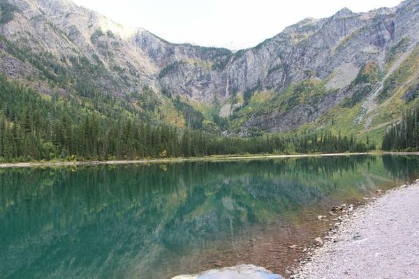 Trail of the Cedars Glacier NP