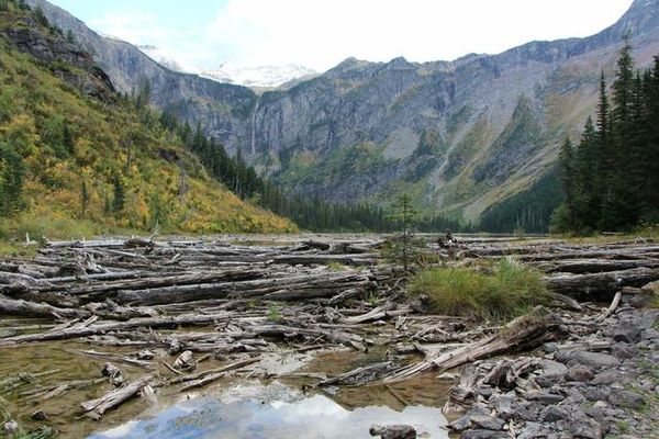 Trail of the Cedars Glacier NP