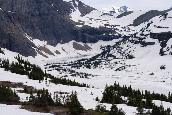Hidden Lake Trail Glacier NP