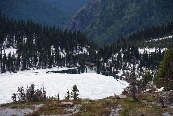 Hidden Lake Trail Glacier National Park