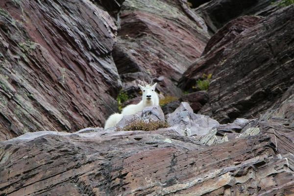 Glacier National Park