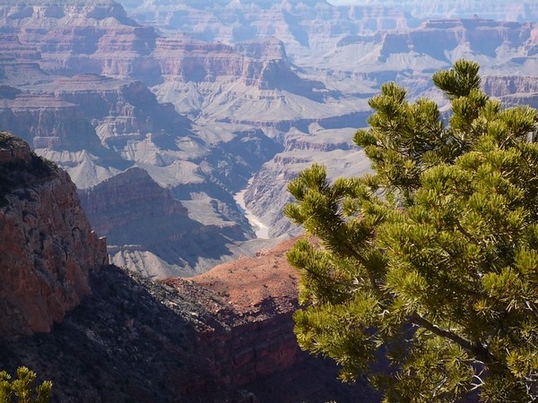 Hopi Point Grand Canyon