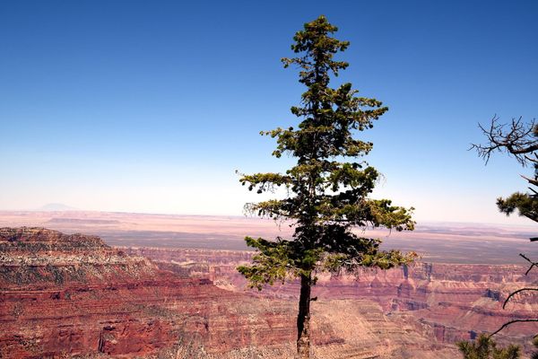 Point Imperial grand Canyon rive Nord Arizona