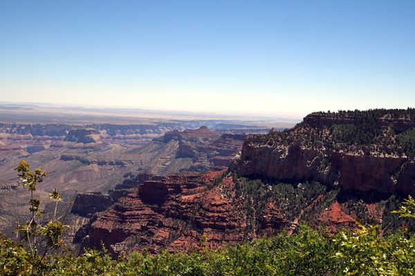 Vue depuis Roosevelt Point rive nord Grand Canyon Arizona