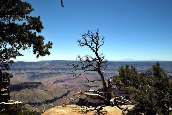 Vue depuis Walhalla Overlook rive Nord Grand Canyon Arizona