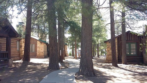 Les cabins du Grand Canyon Lodge Rive nord