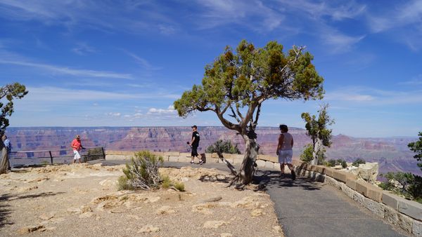 Moran Point Grand Canyon Arizona