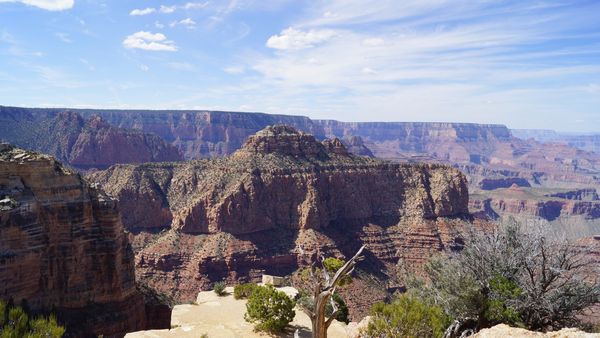 Vue depuis Moran Point Grand Canyon Arizona