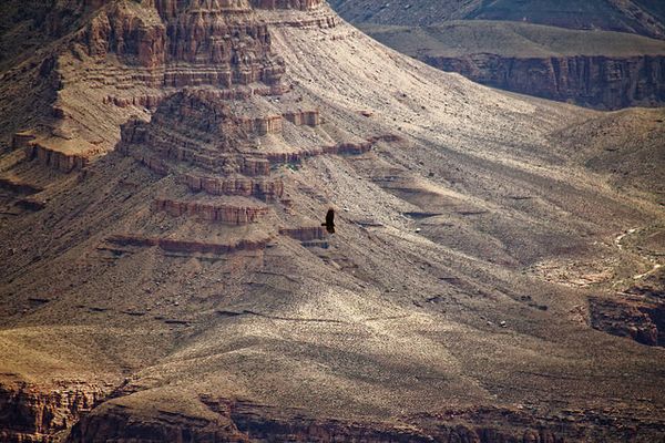 GrandView Point Grand Canyon Arizona