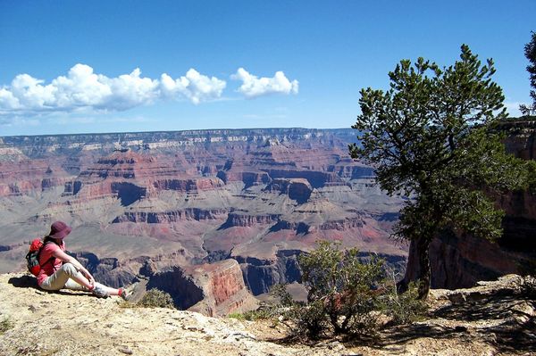 Rim Trail Grand Canyon Arizona