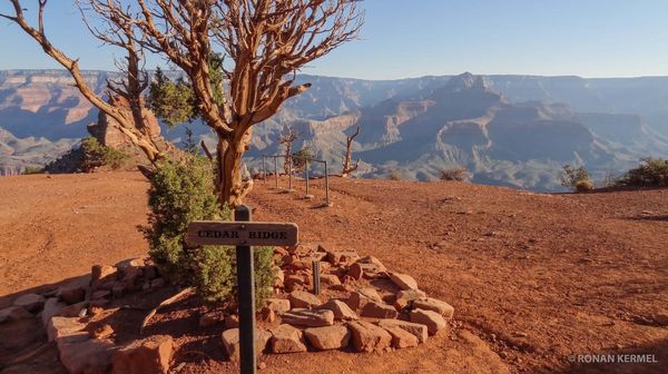 Cedar Ridge South Kaibab Trail Grand Canyon Arizona