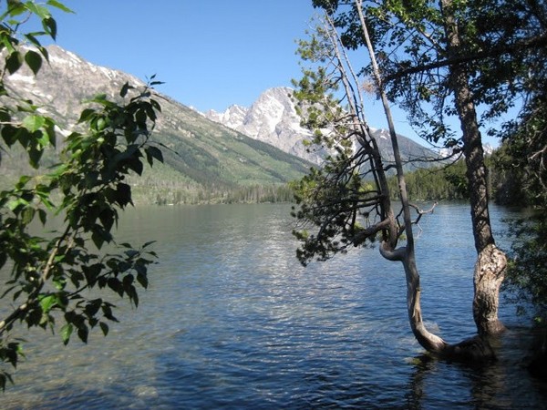 Jenny Lake Grand Teton Wyoming