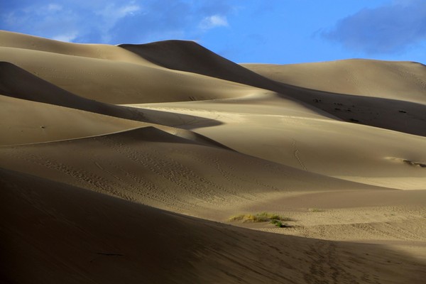 L’ombre et la lumière jouent avec les superbes courbes des dunes Great Sand Dunes Colorado