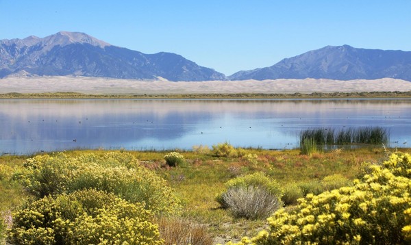 Vue sur Great Sand Dunes depuis San Luis Lake, ancien State Park 
devenu en 2017 une réserve faunique